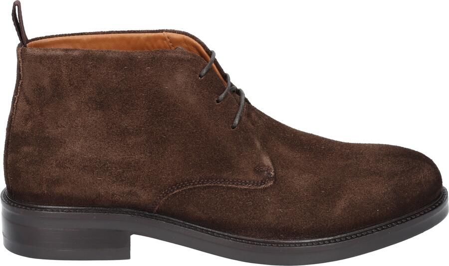 Daniel kenneth Aidan Chocolate Brown