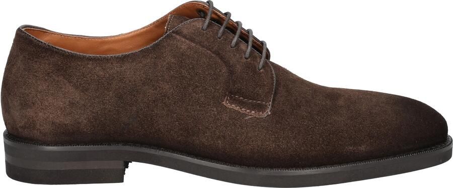 Daniel kenneth Akin Chocolate Brown