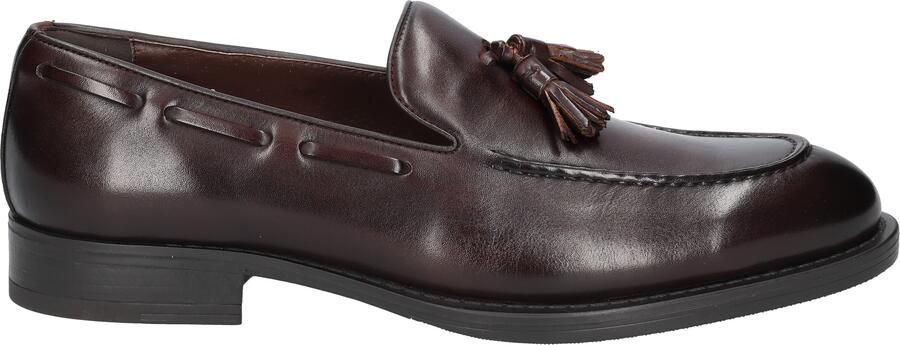 Daniel kenneth Amiro Dark Brown