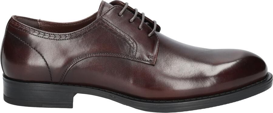 Daniel kenneth Anderson Dark Brown