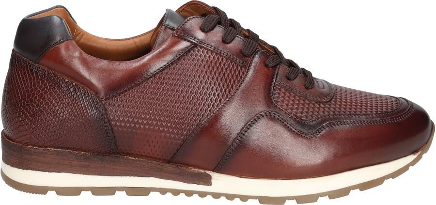 Daniel kenneth Ubora Scotch Brown Blue