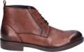 Daniel kenneth Vichenzo Cognac - Bruin