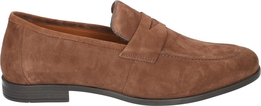 Daniel kenneth Wout Mid Brown