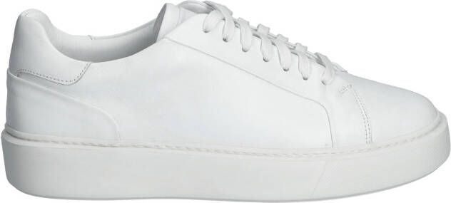 Daniel kenneth Robbie White Leather Veterschoenen