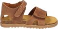 Develab 48509 Cognac