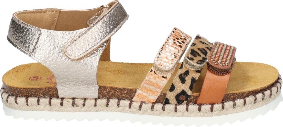 Develab 48546 Gold Fantasy
