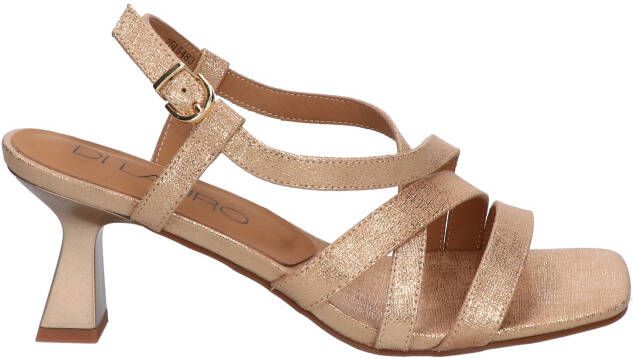 Di lauro Wiamy Light Gold