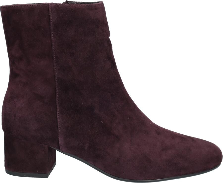 Di lauro Bernarda Dark Brown