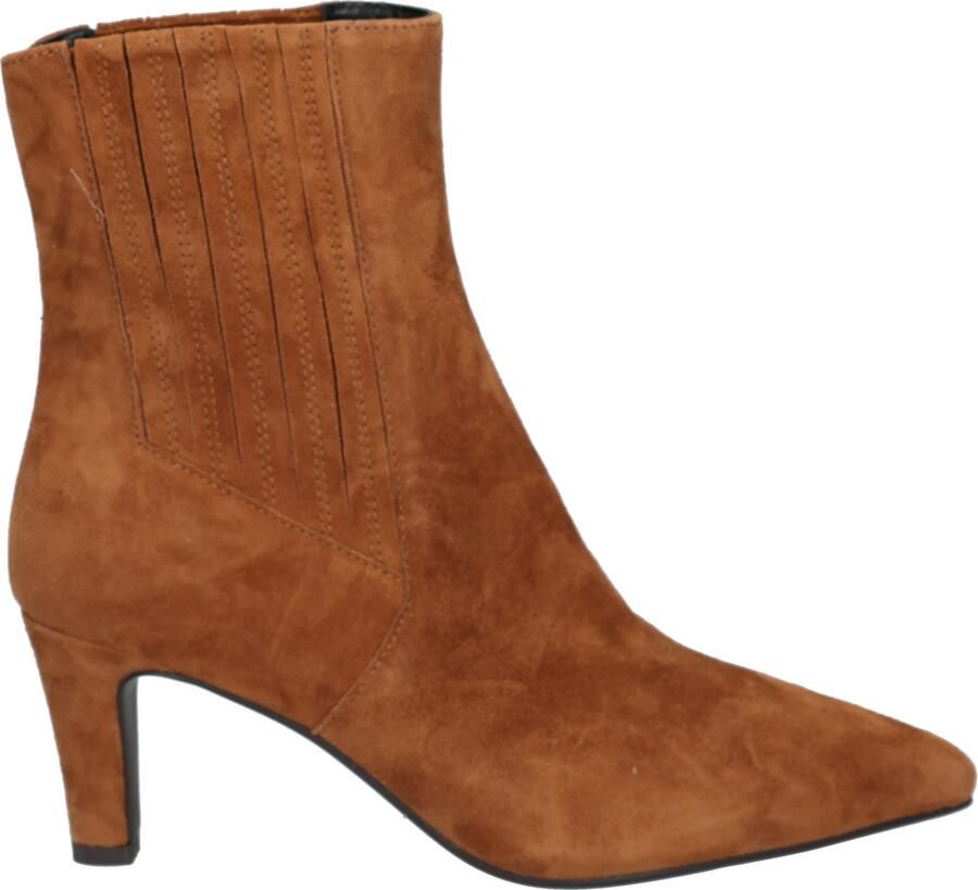 Di lauro Calandra Camel