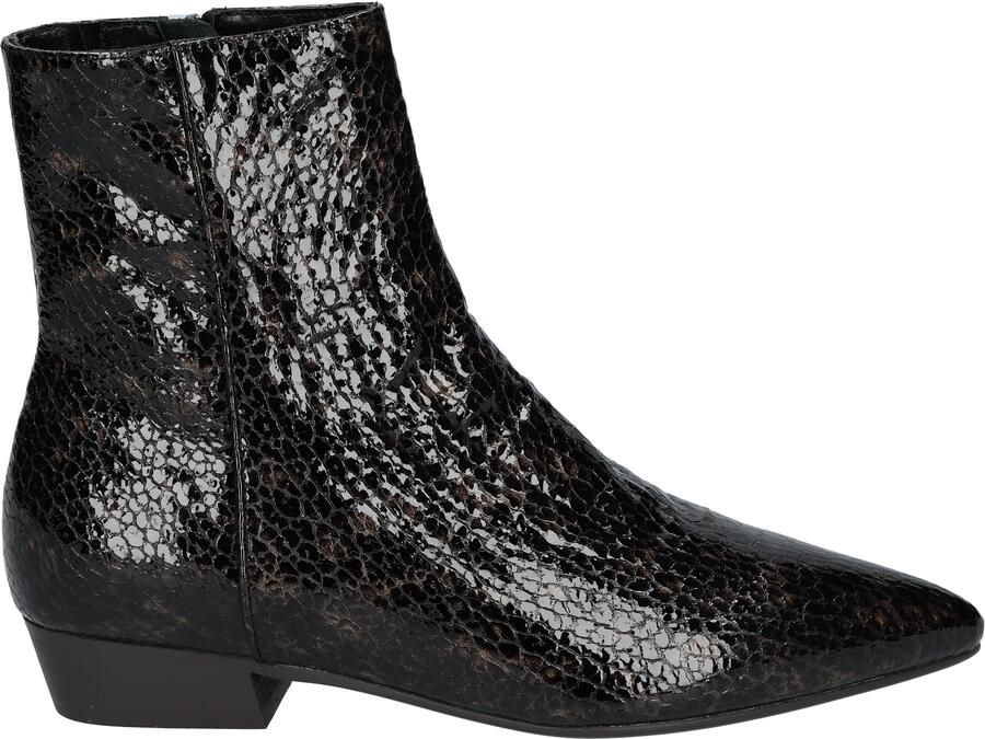 Di lauro Camelia Dark Brown Patent