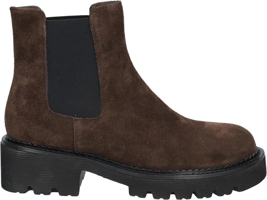 Di lauro Carolina Coffee