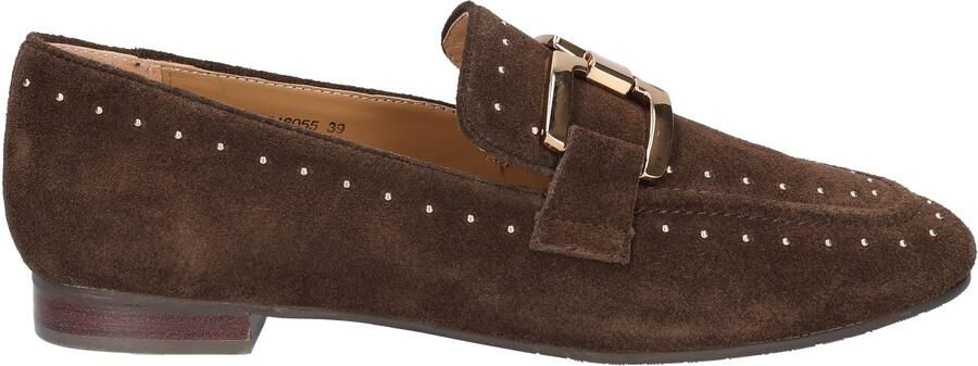 Di lauro Catrina Coffee Suede