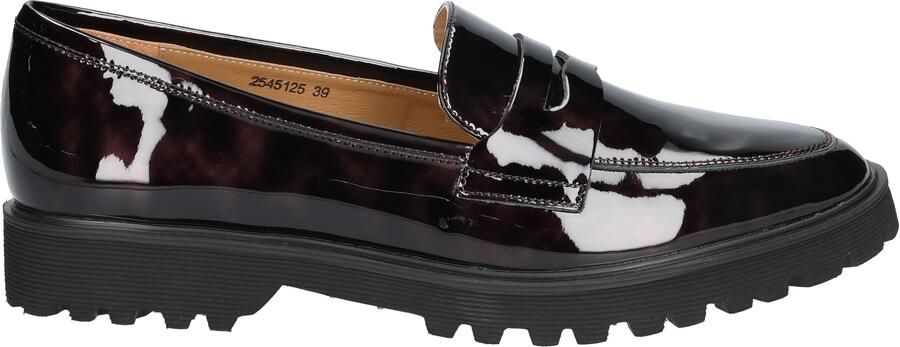 Di lauro Cecilia Dark Brown Patent Leopard