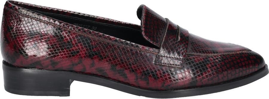 Di lauro Chiara Burgundy Snake