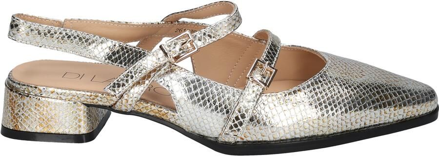 Di lauro Dalmazia Bronze