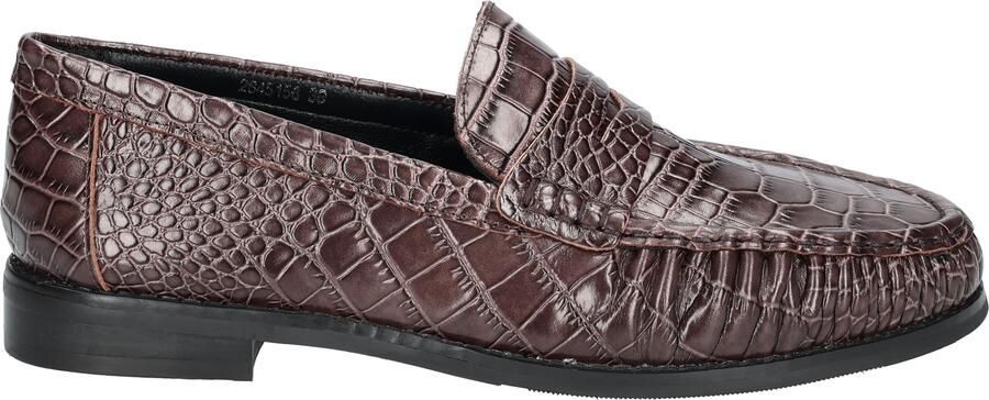 Di lauro Delizia Dark Brown