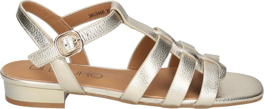 Di lauro Desiree Gold