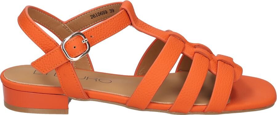 Di lauro Desiree Orange
