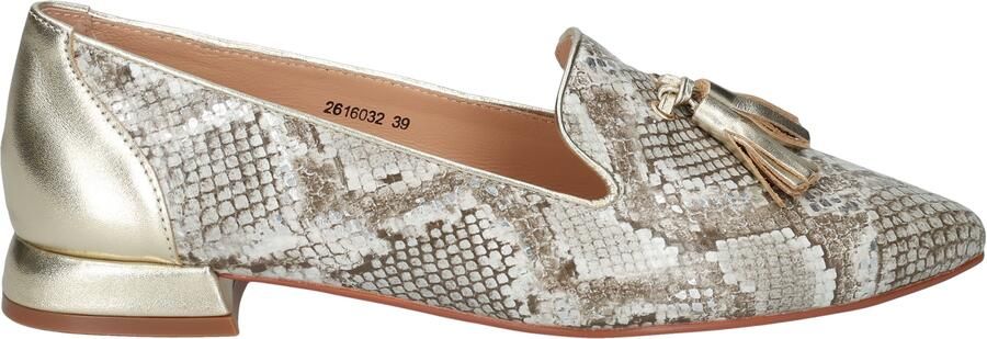 Di lauro Diodata Beige Multi Snake