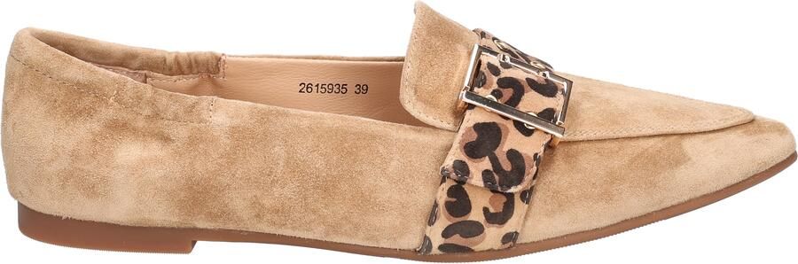 Di lauro Diomira Camel Suede