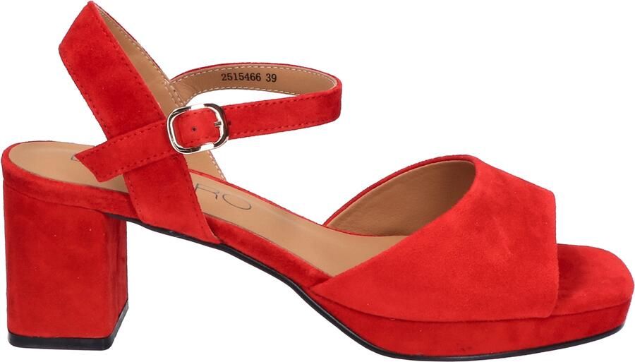 Di lauro Tylina Red