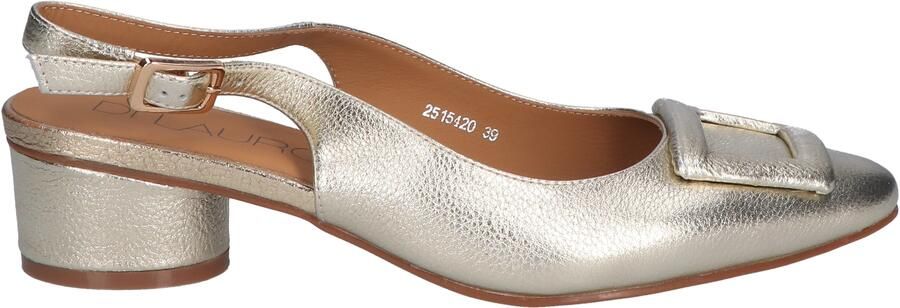 Di lauro Wibien Gold Metal