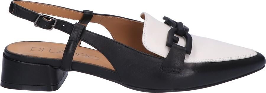 Di lauro Wilicha Black