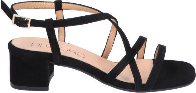 Di lauro Tatiana Black Sandalen