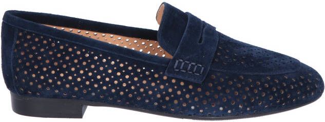 Di lauro Toska Dark Blue