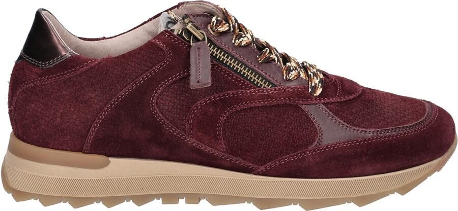 Dl sport 7141 Bordeaux G+ Wijdte