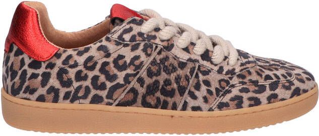 Dwrs label Poona Beige Red 8229