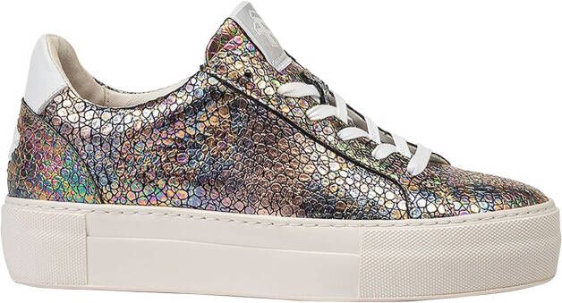 Floris van bommel 10059 Vinni 05.43 Multi Color Lage sneakers