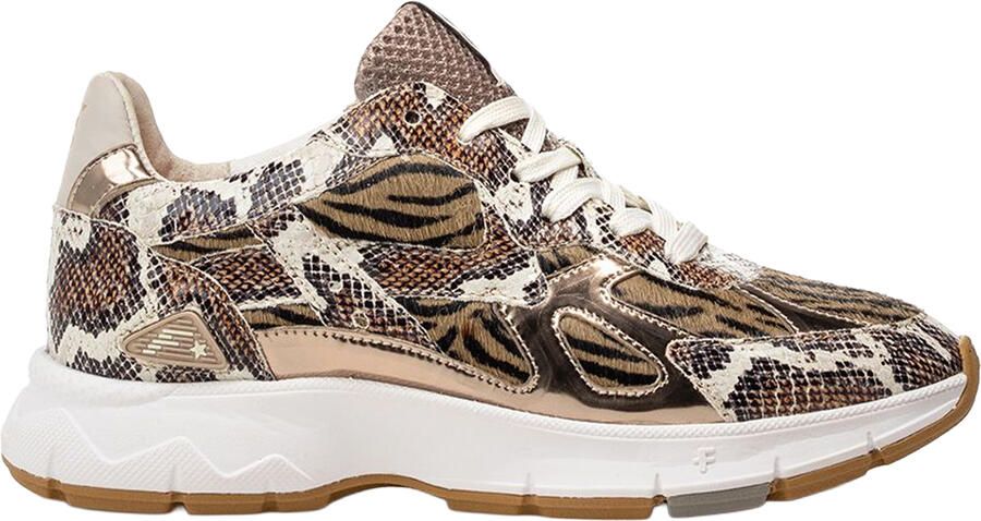 Floris van bommel Daysi 10167 07.00 Brown