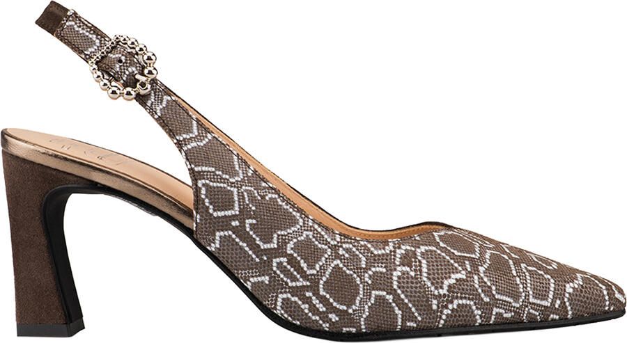 FLORIS VAN BOMMEL Slingbacks Dames Sfw-20055 Giuli Maat: 39 Materiaal: Textiel Kleur: Taupe - Foto 6