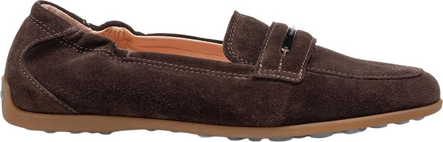 Floris van bommel Sitti 40039 03.19 Brown