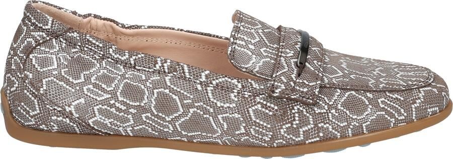 Floris van bommel Sitti 40039 Brown
