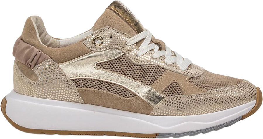 Floris van bommel Suvi 10156 04.03 Gold