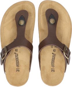 Goldstar Bayli Premier Marrone Slippers