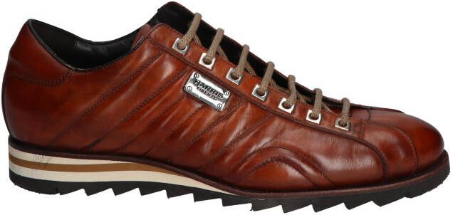 Harris 894P Brown Veterschoenen