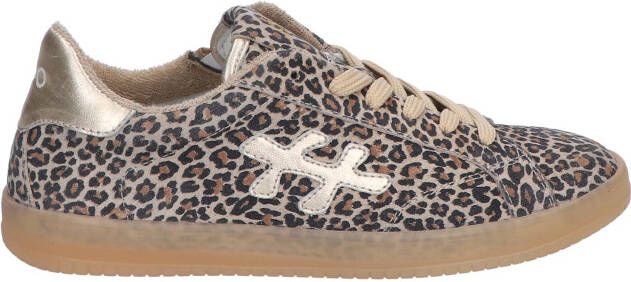 Hip H1886 22CO Beige Leopard