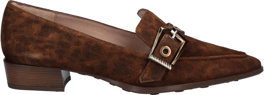 Hispanitas HI254262 Leopard Avellana