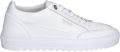 Mason garments Tia ESS-1A Squali White - Wit