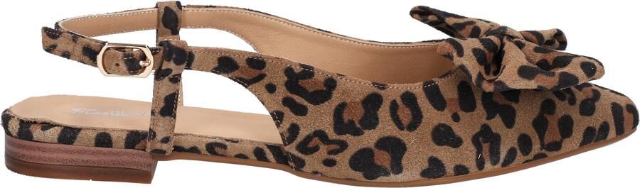 Miss behave Duna Multi Color Leopard