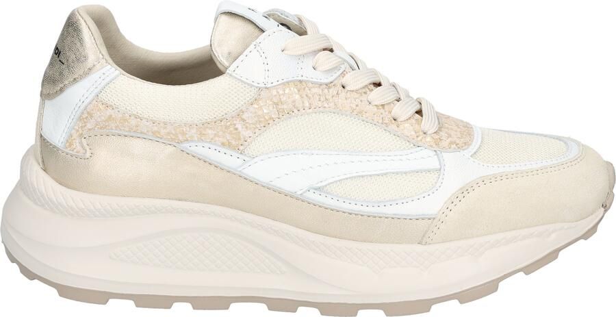 Piedi Nudi WEST 01.06 PEARL WHITE dames sneakers beige - Foto 2