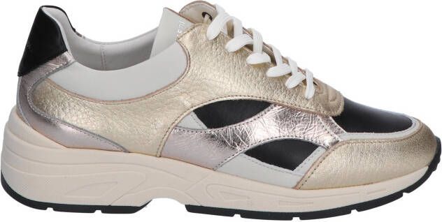 Piedi nudi Zerba Gold Combi Lage sneakers