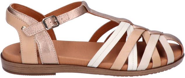 Pikolinos W8Q-0803 Champagne