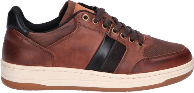 Rapid soul Nissi Cognac