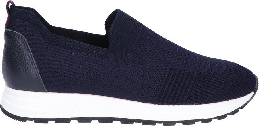 Rapid soul Wiene Dark Blue