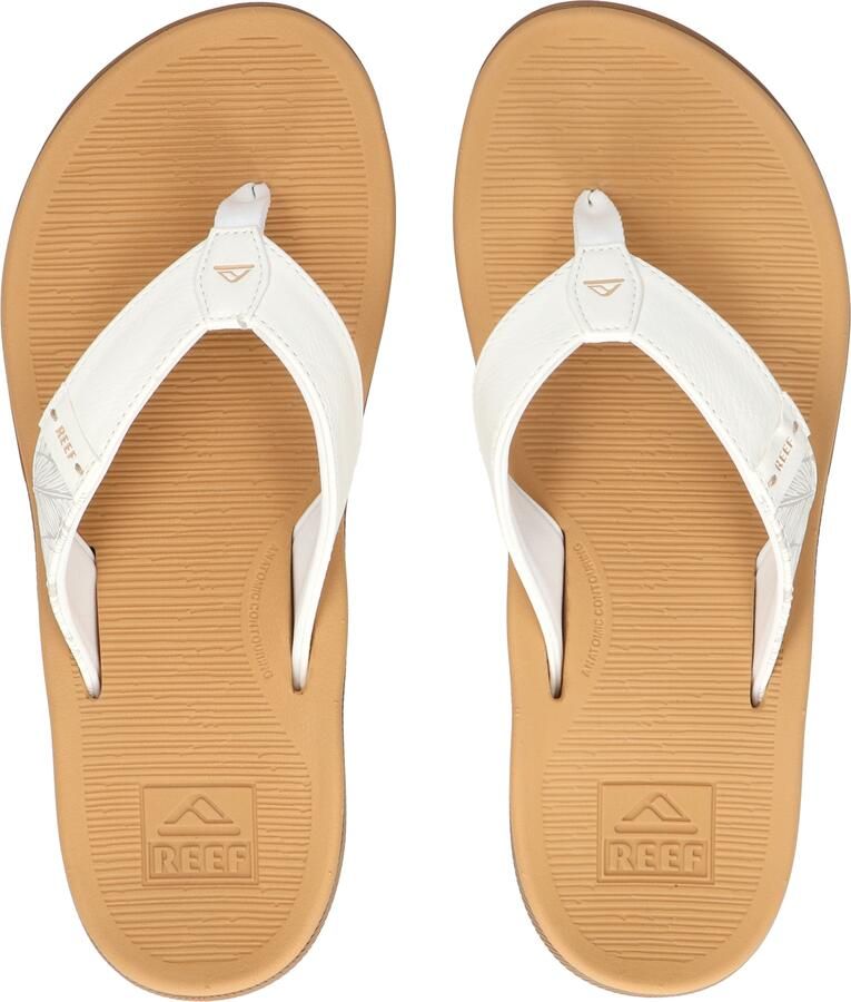Reef Santa Anna Women Cloud