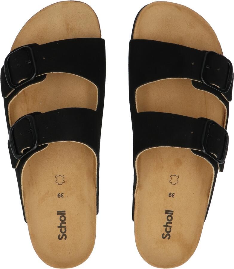 Scholl Josephine Suede Black